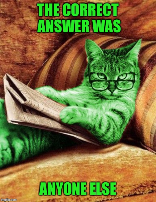 Factual RayCat | THE CORRECT ANSWER WAS ANYONE ELSE | image tagged in factual raycat | made w/ Imgflip meme maker