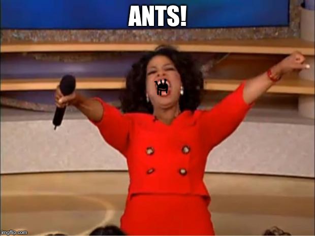Oprah You Get A Meme | ANTS! | image tagged in memes,oprah you get a | made w/ Imgflip meme maker