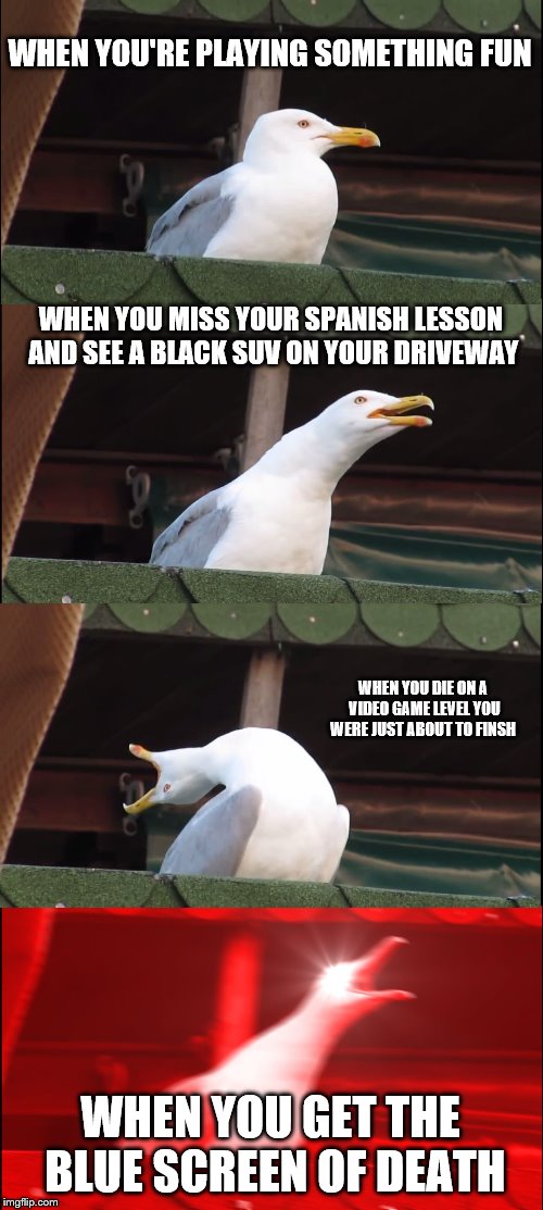FUUUUUUUUUUUUUUUCCCCCCCCCCCCKKKKKKK | WHEN YOU'RE PLAYING SOMETHING FUN; WHEN YOU MISS YOUR SPANISH LESSON AND SEE A BLACK SUV ON YOUR DRIVEWAY; WHEN YOU DIE ON A VIDEO GAME LEVEL YOU WERE JUST ABOUT TO FINSH; WHEN YOU GET THE BLUE SCREEN OF DEATH | image tagged in memes,inhaling seagull | made w/ Imgflip meme maker
