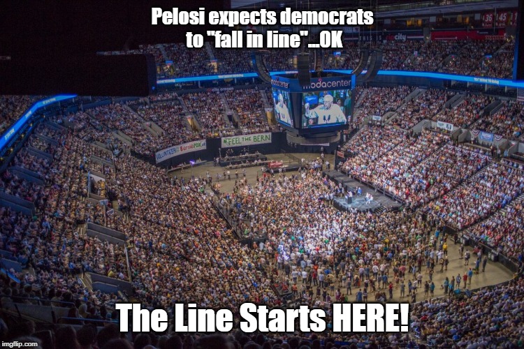 Bernie Crowd | Pelosi expects democrats to "fall in line"...OK; The Line Starts HERE! | image tagged in bernie crowd | made w/ Imgflip meme maker