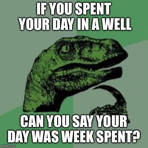 Time raptor  | IF YOU SPENT YOUR DAY IN A WELL; CAN YOU SAY YOUR DAY WAS WEEK SPENT? | image tagged in time raptor | made w/ Imgflip meme maker