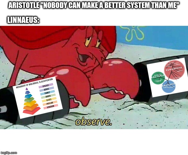 Observe | ARISTOTLE "NOBODY CAN MAKE A BETTER SYSTEM THAN ME"; LINNAEUS: | image tagged in observe | made w/ Imgflip meme maker