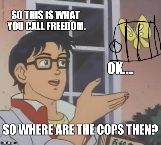 Is This A Pigeon Meme | SO THIS IS WHAT YOU CALL FREEDOM. OK.... SO WHERE ARE THE COPS THEN? | image tagged in memes,is this a pigeon | made w/ Imgflip meme maker