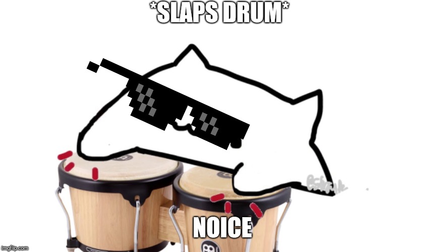 Bongo Cat | *SLAPS DRUM*; NOICE | image tagged in bongo cat | made w/ Imgflip meme maker