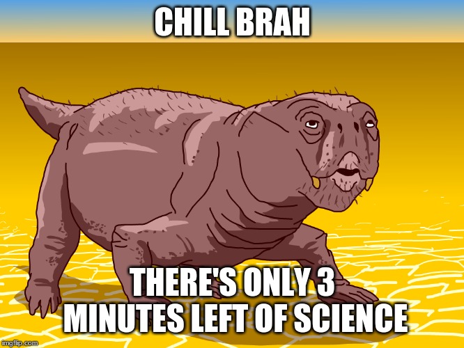 Lystrosaurus | CHILL BRAH; THERE'S ONLY 3 MINUTES LEFT OF SCIENCE | image tagged in lystrosaurus | made w/ Imgflip meme maker