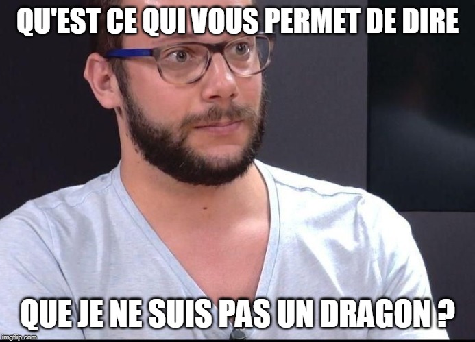 non binaire | QU'EST CE QUI VOUS PERMET DE DIRE; QUE JE NE SUIS PAS UN DRAGON ? | image tagged in non binaire | made w/ Imgflip meme maker