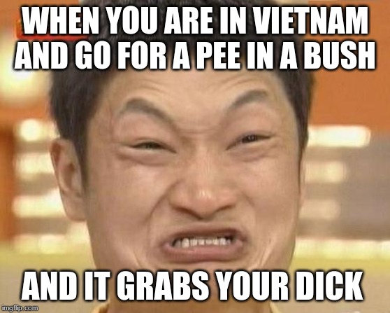 Impossibru Guy Original Meme | WHEN YOU ARE IN VIETNAM AND GO FOR A PEE IN A BUSH; AND IT GRABS YOUR DICK | image tagged in memes,impossibru guy original,funny memes,dank memes | made w/ Imgflip meme maker
