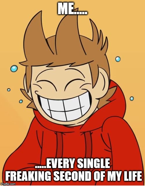 Eddsworld | ME..... .....EVERY SINGLE FREAKING SECOND OF MY LIFE | image tagged in eddsworld | made w/ Imgflip meme maker