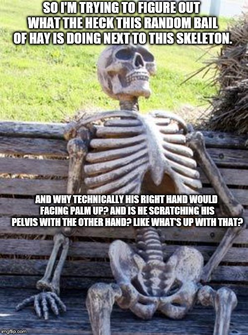 Waiting Skeleton Meme | SO I'M TRYING TO FIGURE OUT WHAT THE HECK THIS RANDOM BAIL OF HAY IS DOING NEXT TO THIS SKELETON. AND WHY TECHNICALLY HIS RIGHT HAND WOULD FACING PALM UP? AND IS HE SCRATCHING HIS PELVIS WITH THE OTHER HAND? LIKE WHAT'S UP WITH THAT? | image tagged in memes,waiting skeleton | made w/ Imgflip meme maker