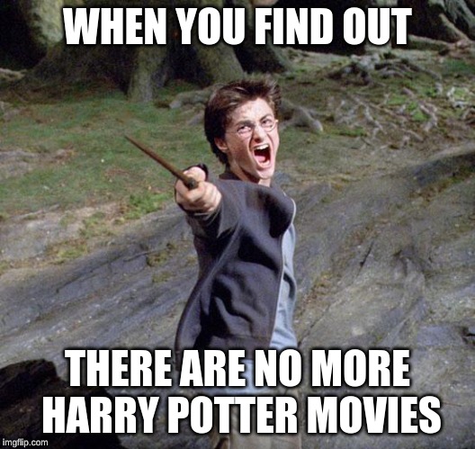 Harry potter | WHEN YOU FIND OUT; THERE ARE NO MORE HARRY POTTER MOVIES | image tagged in harry potter | made w/ Imgflip meme maker