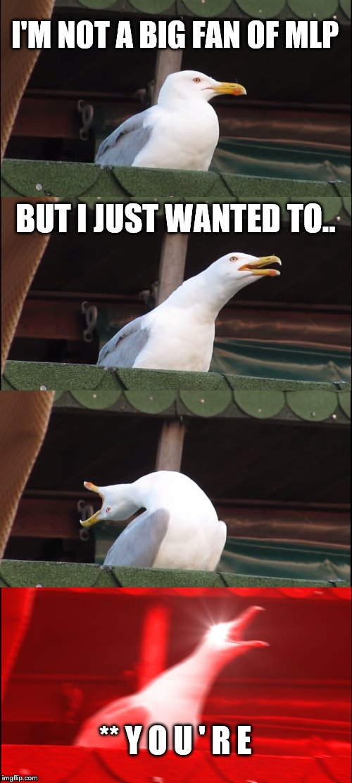 Inhaling Seagull Meme | I'M NOT A BIG FAN OF MLP BUT I JUST WANTED TO.. ** Y O U ' R E | image tagged in memes,inhaling seagull | made w/ Imgflip meme maker