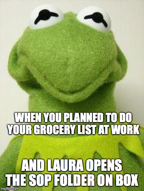 Kermit face | WHEN YOU PLANNED TO DO YOUR GROCERY LIST AT WORK; AND LAURA OPENS THE SOP FOLDER ON BOX | image tagged in kermit face | made w/ Imgflip meme maker