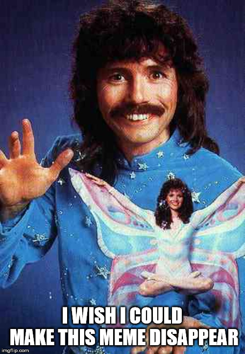 Doug Henning magician | I WISH I COULD MAKE THIS MEME DISAPPEAR | image tagged in doug henning magician | made w/ Imgflip meme maker