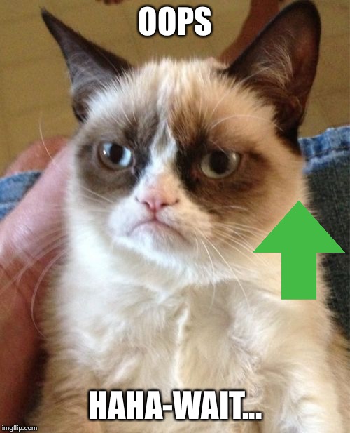 Grumpy Cat Meme | OOPS HAHA-WAIT... | image tagged in memes,grumpy cat | made w/ Imgflip meme maker