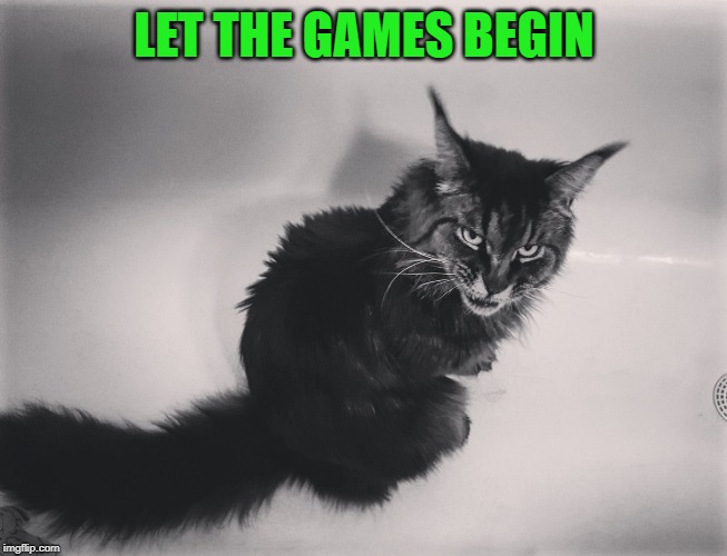 Metal Cat | LET THE GAMES BEGIN | image tagged in metal cat | made w/ Imgflip meme maker