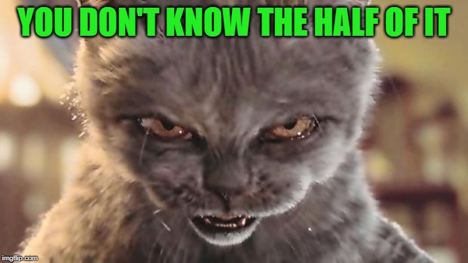 Evil Cat | YOU DON'T KNOW THE HALF OF IT | image tagged in evil cat | made w/ Imgflip meme maker