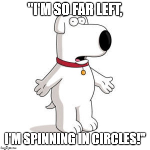 Family Guy Brian Meme | "I'M SO FAR LEFT, I'M SPINNING IN CIRCLES!" | image tagged in memes,family guy brian | made w/ Imgflip meme maker