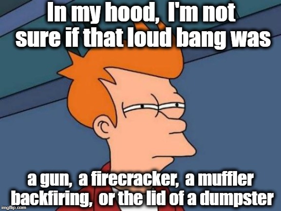 Futurama Fry | In my hood,  I'm not sure if that loud bang was; a gun,  a firecracker,  a muffler backfiring,  or the lid of a dumpster | image tagged in memes,futurama fry | made w/ Imgflip meme maker