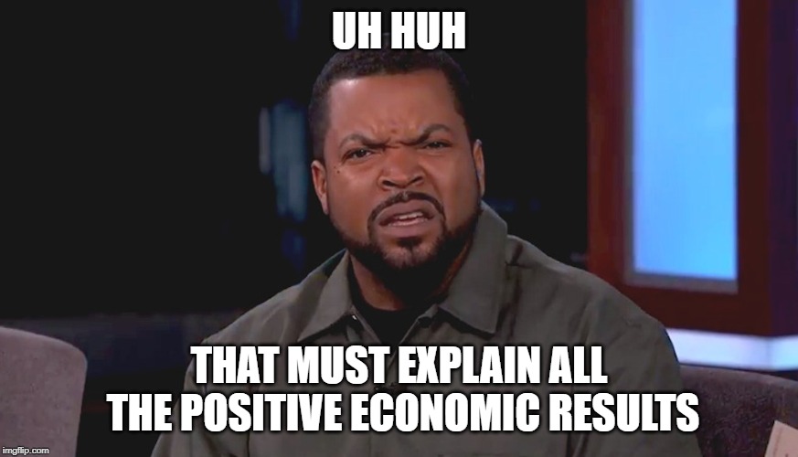 Really? Ice Cube | UH HUH THAT MUST EXPLAIN ALL THE POSITIVE ECONOMIC RESULTS | image tagged in really ice cube | made w/ Imgflip meme maker