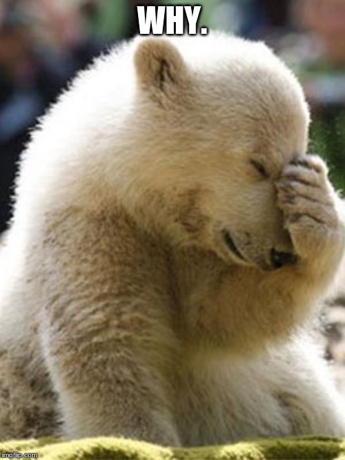 WHY. | image tagged in memes,facepalm bear | made w/ Imgflip meme maker