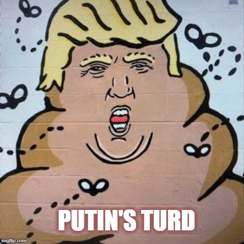 Putin's Turd | PUTIN'S TURD | image tagged in putin,donald trump,traitor,usa | made w/ Imgflip meme maker