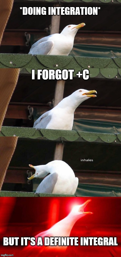inhaling seagull 4 red | *DOING INTEGRATION*; I FORGOT +C; BUT IT'S A DEFINITE INTEGRAL | image tagged in inhaling seagull 4 red | made w/ Imgflip meme maker