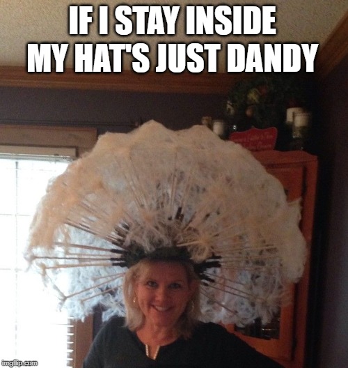 IF I STAY INSIDE MY HAT'S JUST DANDY | made w/ Imgflip meme maker