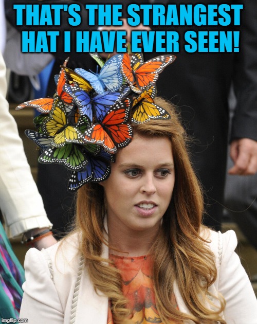 Hat | THAT'S THE STRANGEST HAT I HAVE EVER SEEN! | image tagged in hat | made w/ Imgflip meme maker