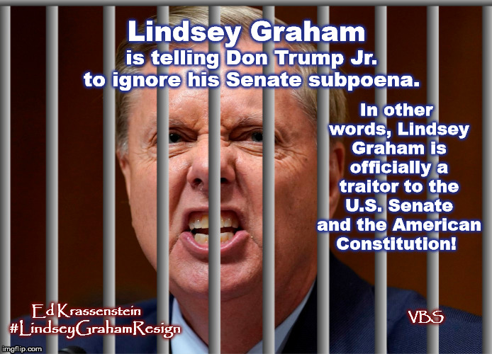 Lindsey Graham | Lindsey Graham; In other words, Lindsey Graham is officially a traitor to the U.S. Senate and the American Constitution! is telling Don Trump Jr. to ignore his Senate subpoena. Ed Krassenstein; VBS; #LindseyGrahamResign | image tagged in lindsey graham,lindsey graham resign,trumps gop,donald trump,don trump jr,traitor | made w/ Imgflip meme maker