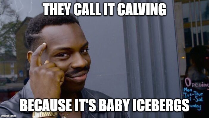 Roll Safe Think About It Meme | THEY CALL IT CALVING; BECAUSE IT'S BABY ICEBERGS | image tagged in memes,roll safe think about it | made w/ Imgflip meme maker