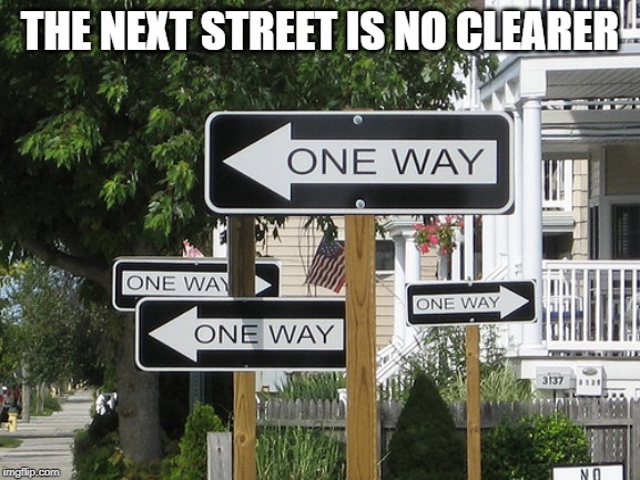 One way | THE NEXT STREET IS NO CLEARER | image tagged in one way | made w/ Imgflip meme maker