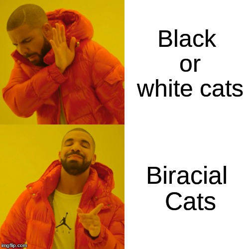 Drake Hotline Bling | Black or white cats; Biracial Cats | image tagged in memes,drake hotline bling | made w/ Imgflip meme maker