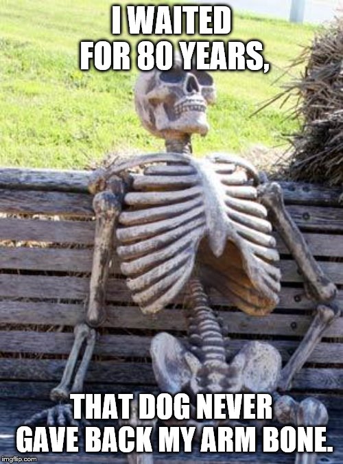 Waiting Skeleton Meme | I WAITED FOR 80 YEARS, THAT DOG NEVER GAVE BACK MY ARM BONE. | image tagged in memes,waiting skeleton | made w/ Imgflip meme maker