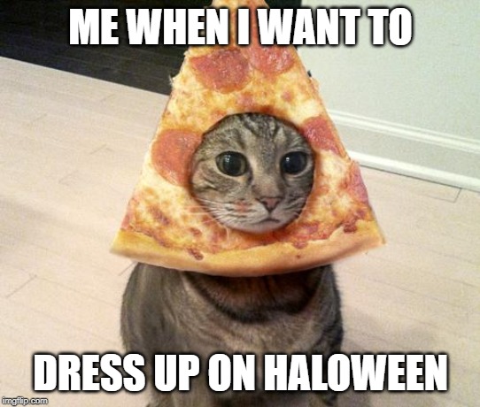 haloween pizza |  ME WHEN I WANT TO; DRESS UP ON HALOWEEN | image tagged in pizza cat | made w/ Imgflip meme maker