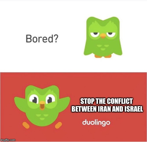 DUOLINGO BORED | STOP THE CONFLICT BETWEEN IRAN AND ISRAEL | image tagged in duolingo bored | made w/ Imgflip meme maker