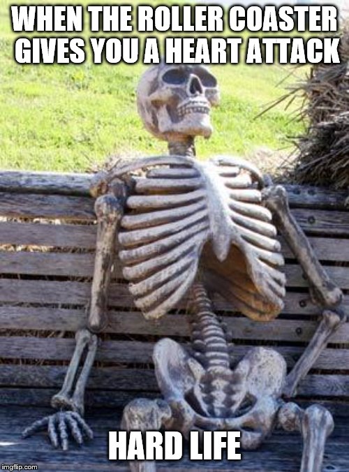 Waiting Skeleton | WHEN THE ROLLER COASTER GIVES YOU A HEART ATTACK; HARD LIFE | image tagged in memes,waiting skeleton | made w/ Imgflip meme maker