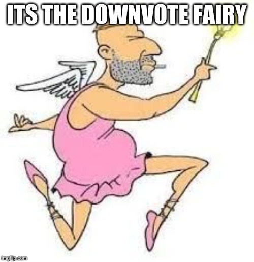 Downvote Fairy | ITS THE DOWNVOTE FAIRY | image tagged in downvote fairy | made w/ Imgflip meme maker