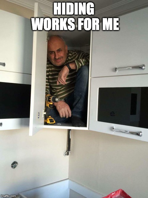 Guy in the closet | HIDING WORKS FOR ME | image tagged in guy in the closet | made w/ Imgflip meme maker