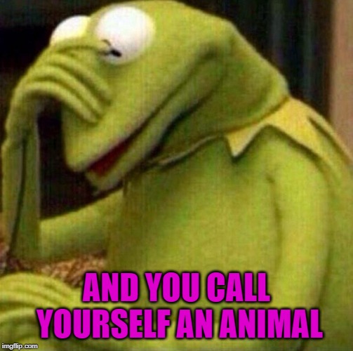 AND YOU CALL YOURSELF AN ANIMAL | made w/ Imgflip meme maker