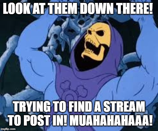 Evil Laugh Skeletor | LOOK AT THEM DOWN THERE! TRYING TO FIND A STREAM TO POST IN! MUAHAHAHAAA! | image tagged in evil laugh skeletor | made w/ Imgflip meme maker