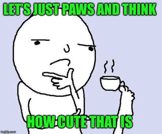 thinking meme | LET’S JUST PAWS AND THINK HOW CUTE THAT IS | image tagged in thinking meme | made w/ Imgflip meme maker