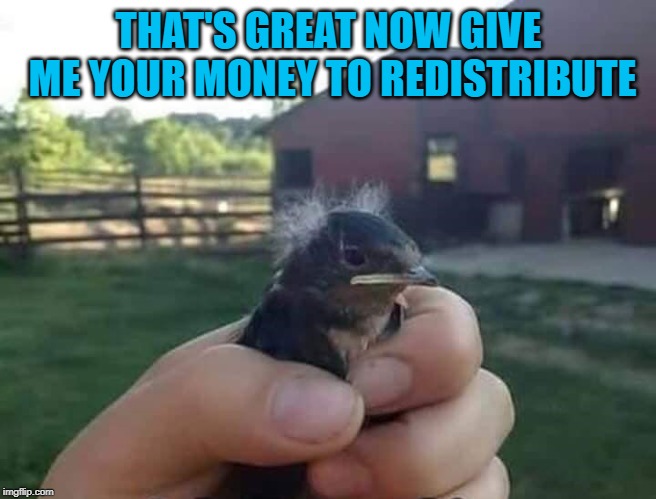 THAT'S GREAT NOW GIVE ME YOUR MONEY TO REDISTRIBUTE | made w/ Imgflip meme maker