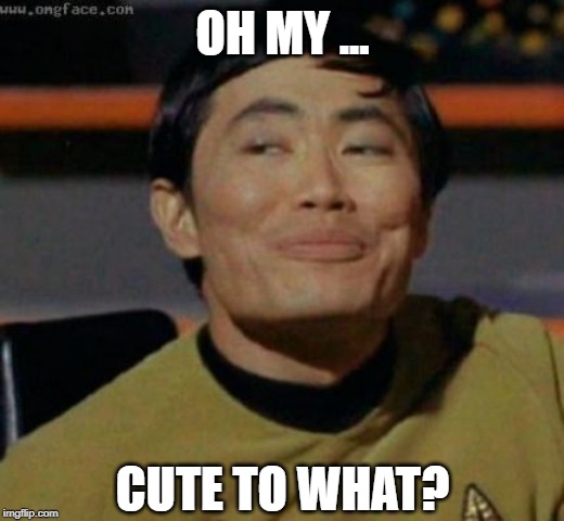 sulu | OH MY ... CUTE TO WHAT? | image tagged in sulu | made w/ Imgflip meme maker