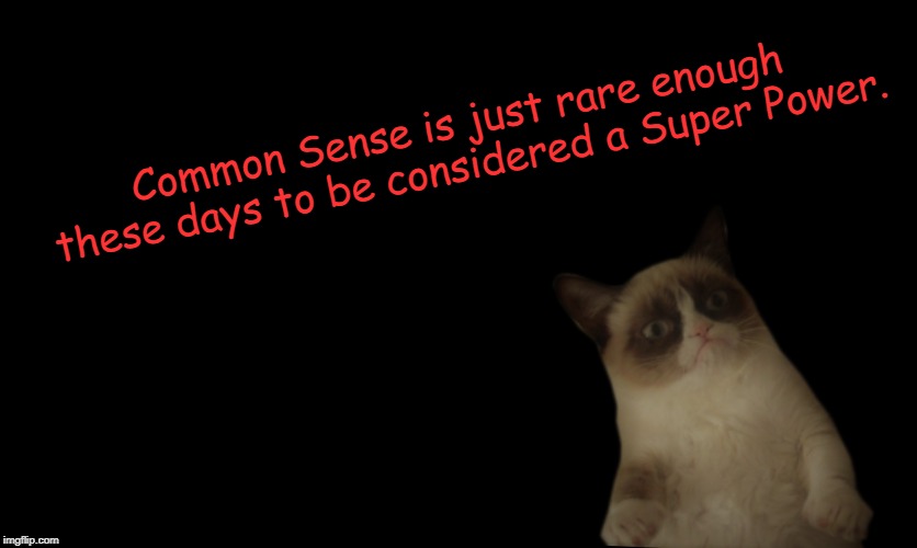 Truth | Common Sense is just rare enough these days to be considered a Super Power. | image tagged in grumpy cat,common sense,memes | made w/ Imgflip meme maker