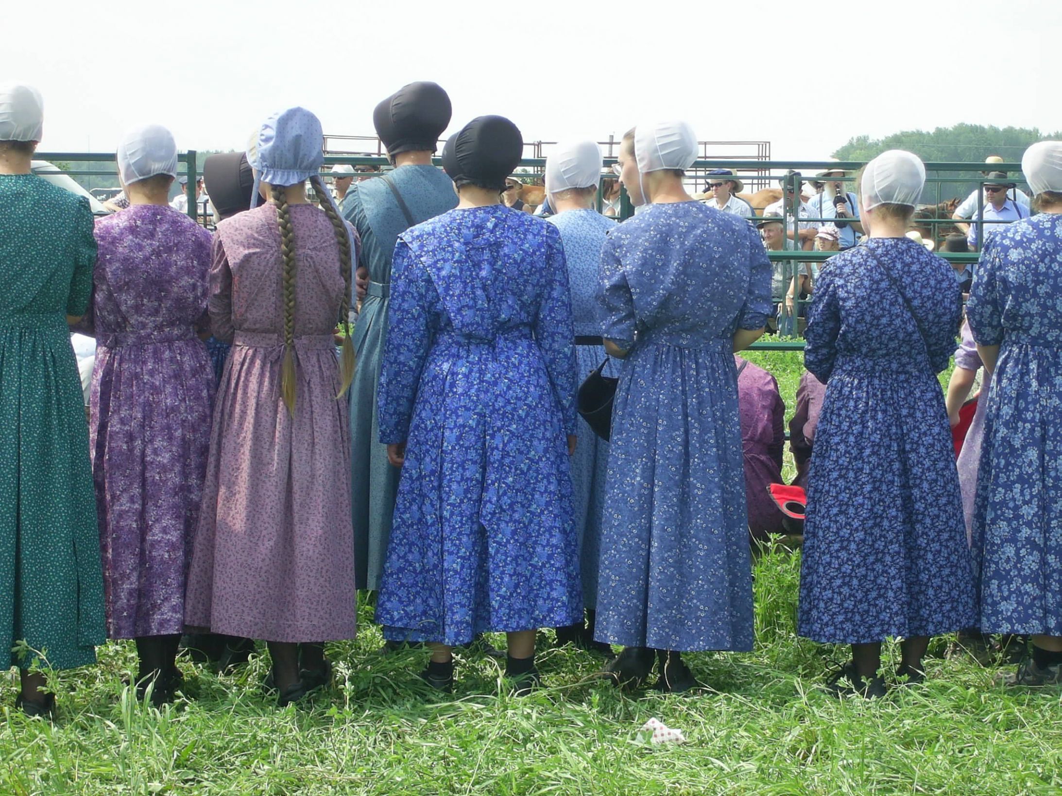 High Quality Amish Women Blank Meme Template