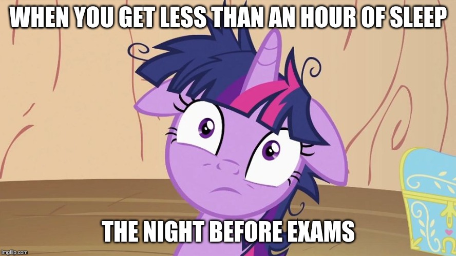 Kinda hard to disagree with this. | WHEN YOU GET LESS THAN AN HOUR OF SLEEP; THE NIGHT BEFORE EXAMS | image tagged in messy twilight sparkle | made w/ Imgflip meme maker