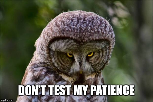 Seriously Owl | DON’T TEST MY PATIENCE | image tagged in seriously owl | made w/ Imgflip meme maker