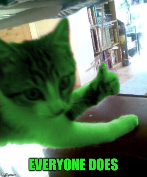 thumbs up RayCat | EVERYONE DOES | image tagged in thumbs up raycat | made w/ Imgflip meme maker