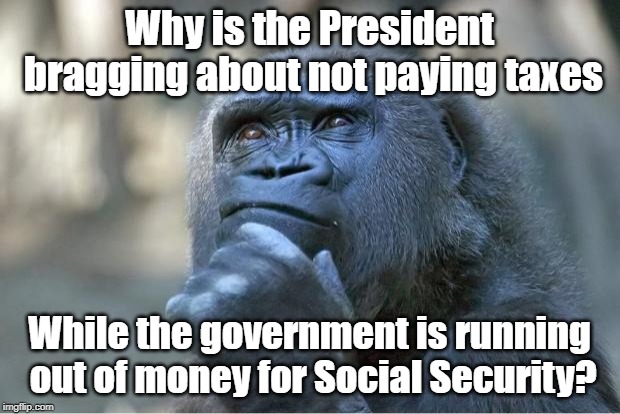 The thinking gorilla | Why is the President bragging about not paying taxes; While the government is running out of money for Social Security? | image tagged in the thinking gorilla | made w/ Imgflip meme maker