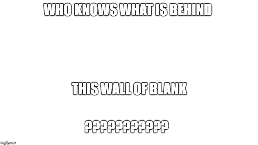 ???????? | WHO KNOWS WHAT IS BEHIND; THIS WALL OF BLANK; ??????????? | image tagged in blank | made w/ Imgflip meme maker